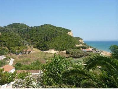 Apartment Adriatica View *